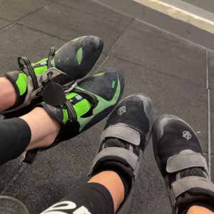 Amy Webber profile