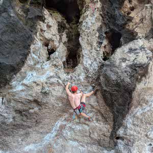 Harry Kramer profile