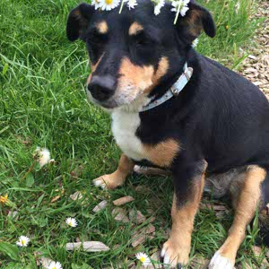Nola Fitzke profile