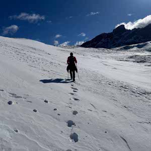 Thomas Camal profile