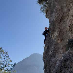 Annette Woodhouse profile