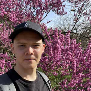 Damir Gaifutdinov profile