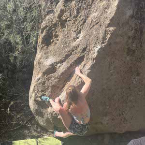 niamh dixon profile