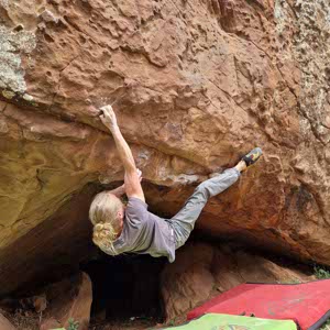 Ryan Searle profile