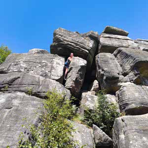 Alex Fraser profile