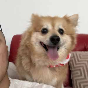 Chester Zaballero profile