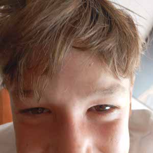 Achiel Pauwels profile