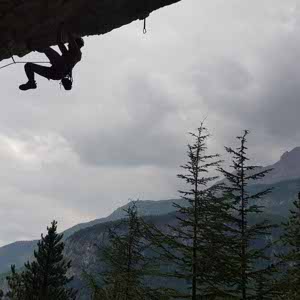 Louie Pinnell profile