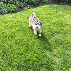 Sam _ profile