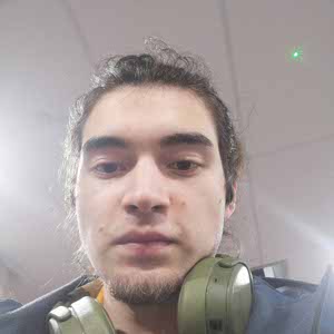 Theo Herwanger profile
