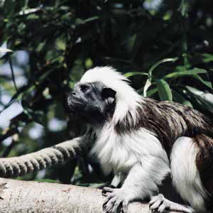 Luke Martin profile