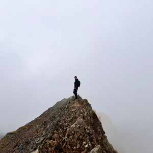 Ben Pedlar profile