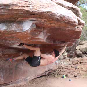 Olie Whiting profile
