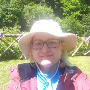 Nicholas Ireland profile