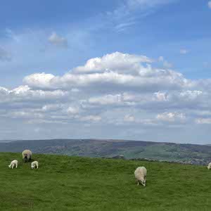 Penny Watkin profile