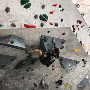 David Reckert profile