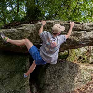 Dan Hammond profile