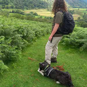 Faolan Stephenson profile