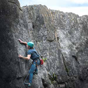 David Newman profile