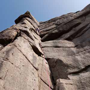 Jess Challis profile