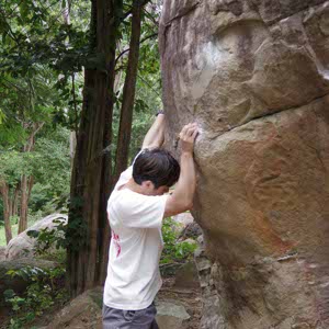 Wisa Powthongchin profile