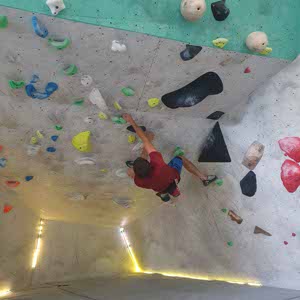 Stuart Rigg profile