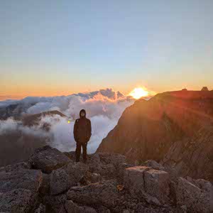 Ryan McDougall profile
