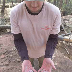Josh Glanvill profile