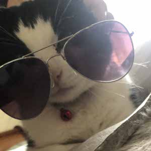 Marley Birks profile