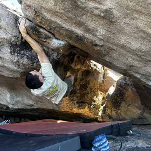 Matthew Durrant profile