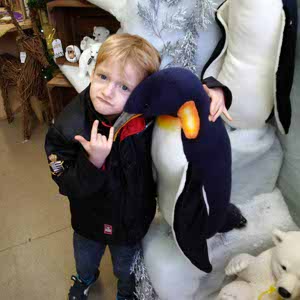 Noah Baines profile