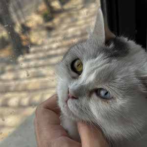 Kittipong Suwannagarn profile