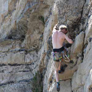 Jake Taplin profile