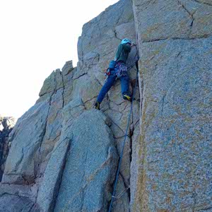 Archie Grant profile
