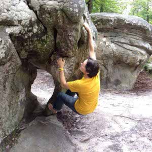 Matt France profile