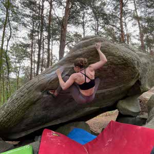Anna Norgrove profile