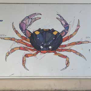 Crab Features profile