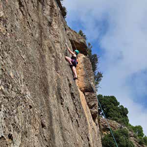 Louise Guest profile