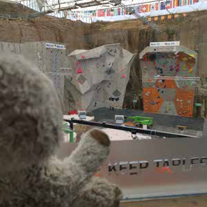 Sloth Bear profile