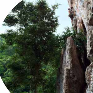 Ryan Robson profile