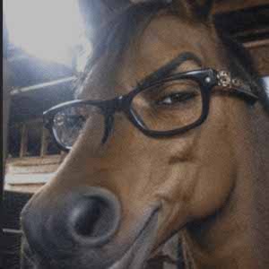 U Single? profile