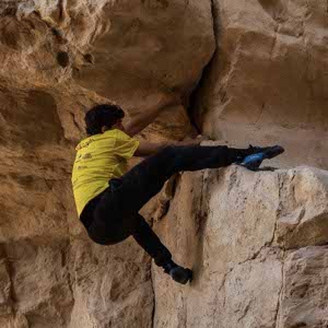 Hashem Abdou profile