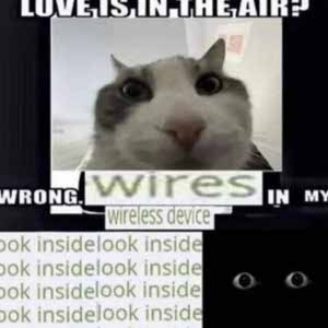 Edward White profile