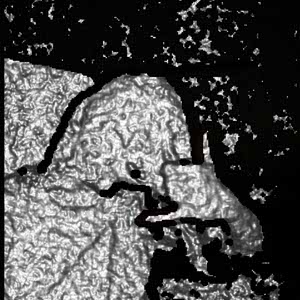 Stepan Fedun profile