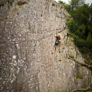 Daina Smith profile