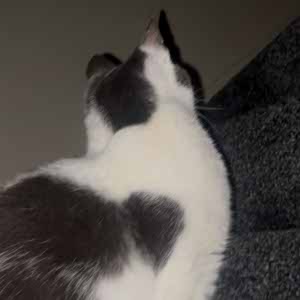 Daniel Harper profile