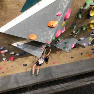 Alice Newby profile