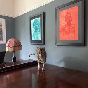 rosie kinniburgh profile