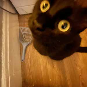 Marvin Schmidley Malice profile