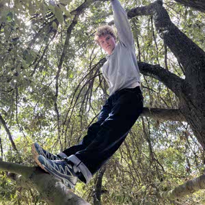 Jackson Laing profile